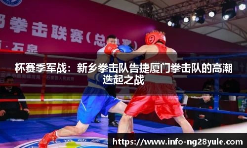 杯赛季军战：新乡拳击队告捷厦门拳击队的高潮迭起之战